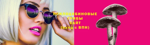 бутират Няндома