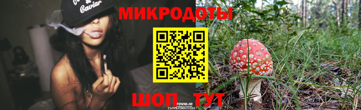 Таганрог  наркота  Вход с VPN  Псилоцибиновые грибы GOLDEN TEACHER 