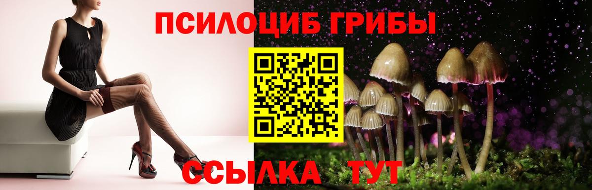 Псилоцибиновые грибы Cubensis Таганрог